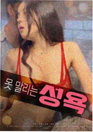 菊花影院女性题材电影 山雀不唱歌 海报